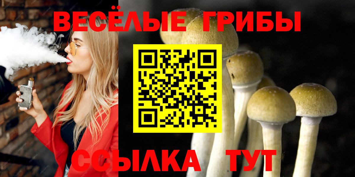 Галлюциногенные грибы Psilocybine cubensis Азнакаево